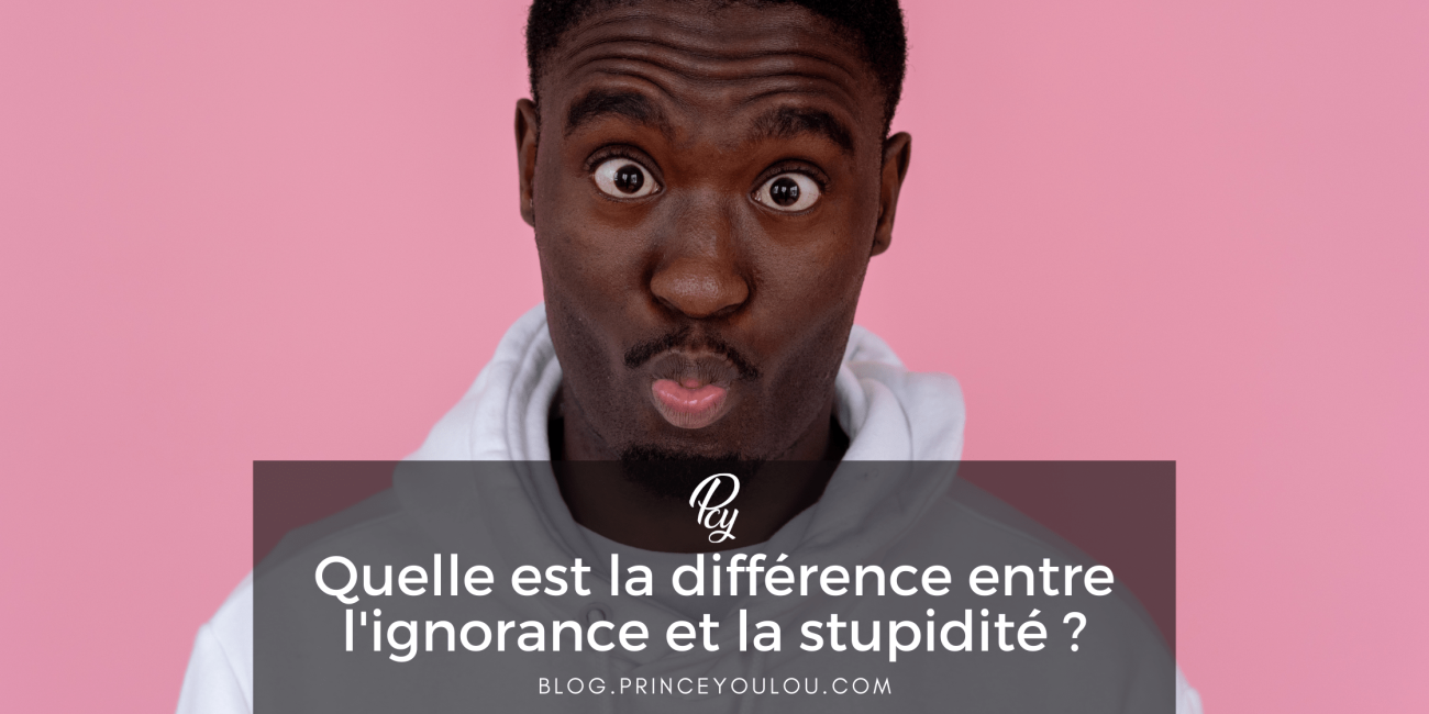 Quelle est la différence entre l'ignorance et la stupidité