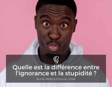 Quelle est la différence entre l'ignorance et la stupidité